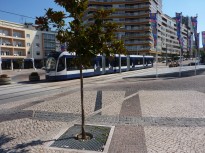 Almada_Metro Sul Tejo (14)