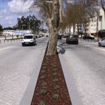 Req. Urbana Av. D. José Alves Correia da Silva